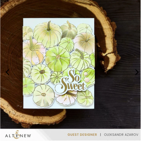 Altenew Calabacín Stamping Set | Sellos creativos para scrapbooking y manualidades