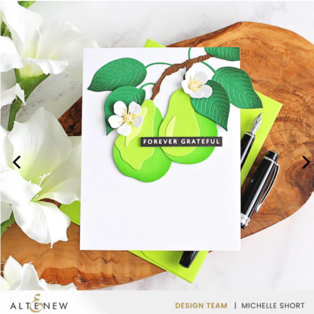 AlteNew -Fresh Pears Layering Die Set