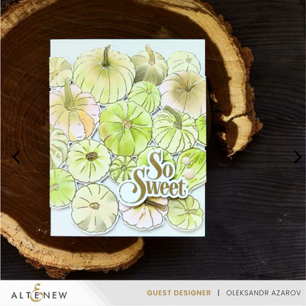Altenew- Calabacin Stamping Set