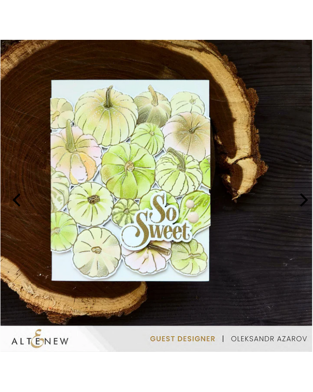 Altenew- Calabacin Stamping Set