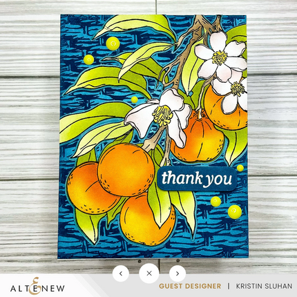 AlteNew -Tangerine Grove & Artists' Watercolor 24 Pan Set Bundle