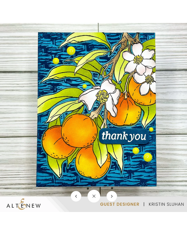 AlteNew -Tangerine Grove & Artists' Watercolor 24 Pan Set Bundle