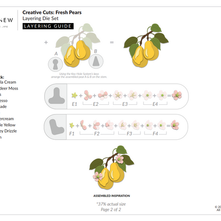 AlteNew -Fresh Pears Layering Die Set